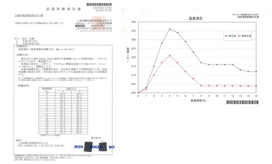 检测报告