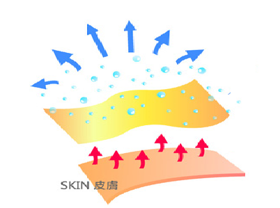 吸湿排汗